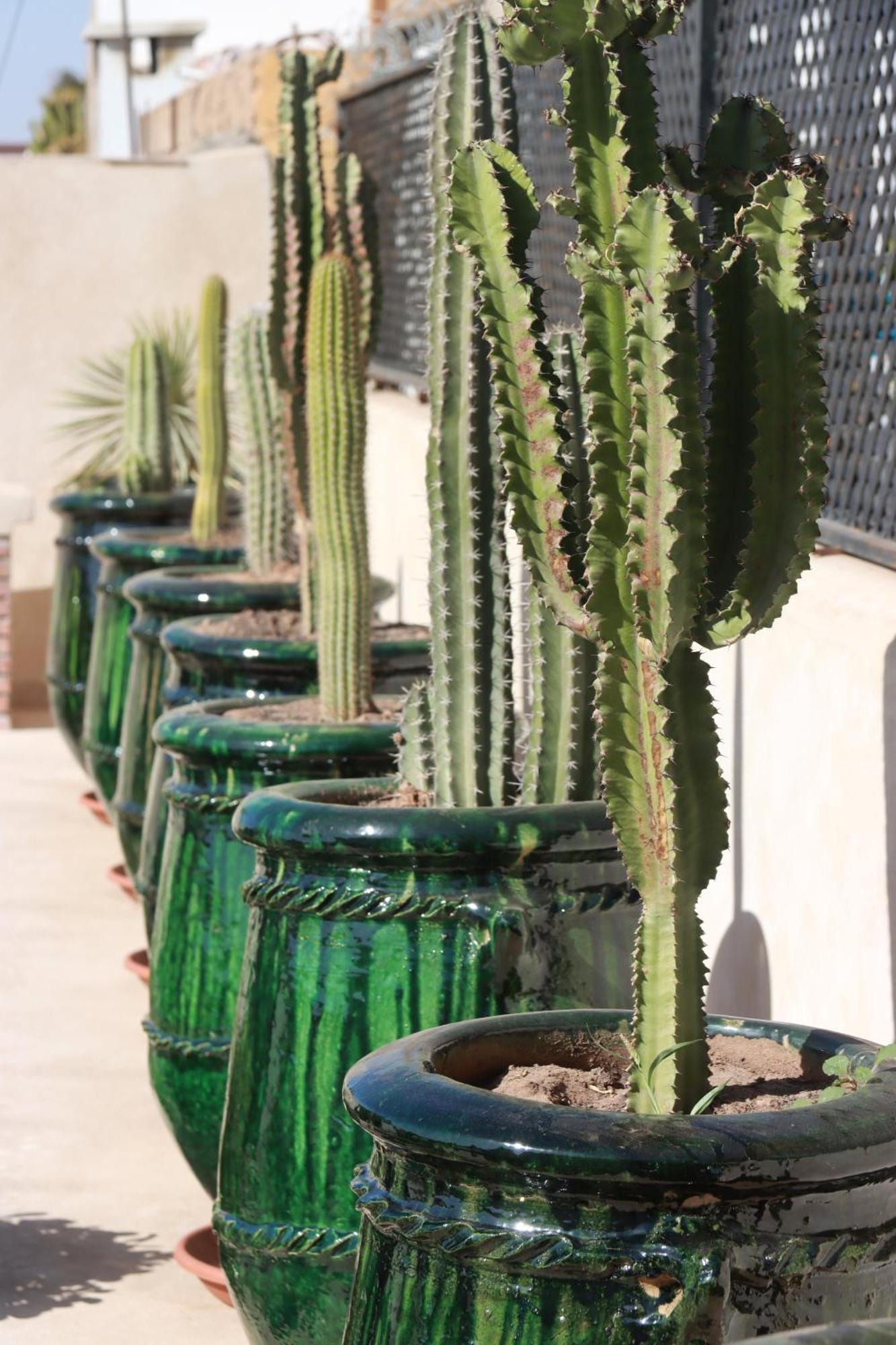 Riad Valentine Marrakesh Buitenkant foto